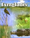 The Everglades image and link